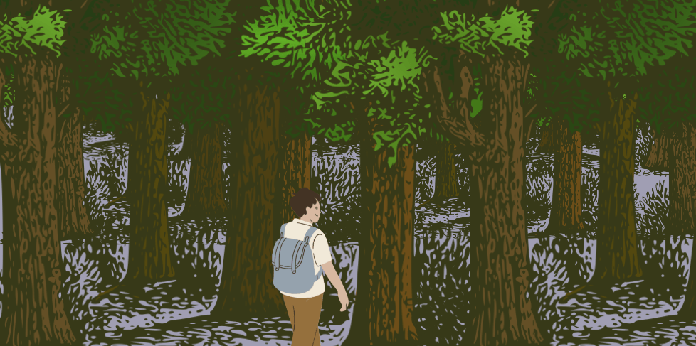 Outlining: The Wandering&nbsp;Method